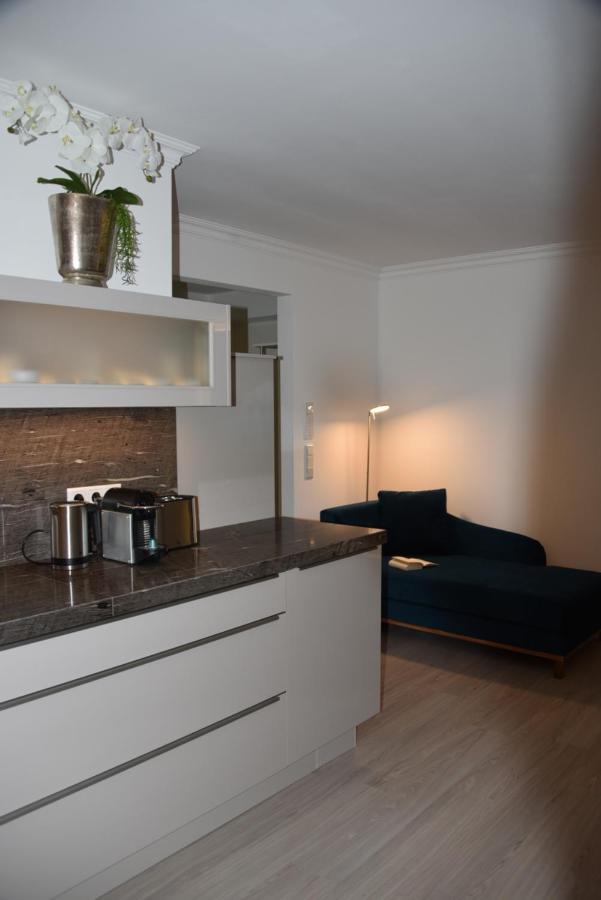 Antike&Modern Deluxe 2 mit Terrasse Lejlighed Leipheim Eksteriør billede